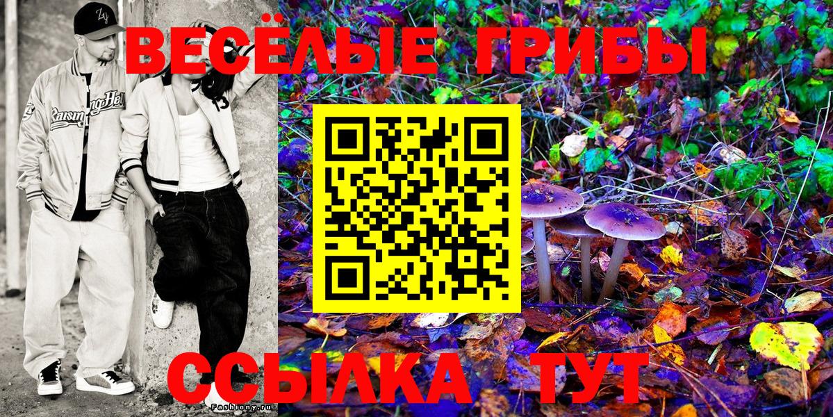 как найти   Галлюциногенные грибы Psilocybine cubensis  Курчатов  Вход с VPN  Галлюциногенные грибы ЛСД 